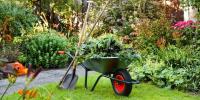 Evergreen Tree and Gardening Services image 3
